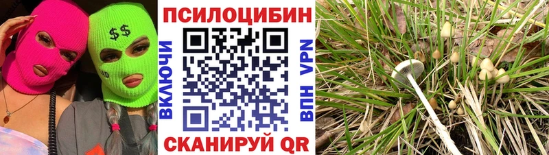 Галлюциногенные грибы GOLDEN TEACHER  OMG ссылки  Биробиджан 